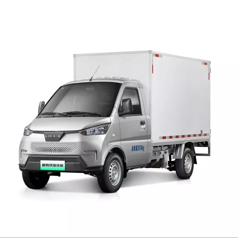 2인승 NEV 트럭